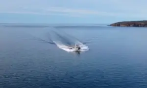marine
